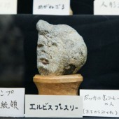 Độc lạ bảo tàng đá mặt người ở Saitama
