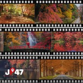 Chiêm ngưỡng sắc thu khắp 47 tỉnh thành xứ Phù Tang