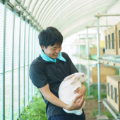 Ẩm thực thỏ trắng ở Akita đang dần biến mất