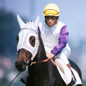 Haiseiko: Chú ngựa thay đổi cả nền văn hóa đua ngựa Nhật Bản