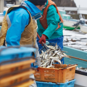 Hải sản đang bị đe dọa, Nhật Bản hướng tới đánh bắt bền vững