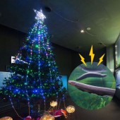 Cá chình điện thắp sáng cây thông Noel tại thủy cung Nhật Bản