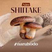 Nấm Shiitake - Tinh túy của ẩm thực Nhật