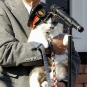 Ga Kishi có trưởng ga mèo mới