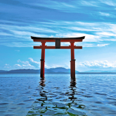 Chiêm ngưỡng những cánh cổng Torii "lơ lửng" giữa biển hồ tại Nhật