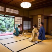 Các lớp trà đạo thiếu matcha để thực hành