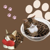 Những chú mèo gỗ "cực nét" của điêu khắc gia Nhật