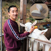 Làm phô mai dê vì đam mê, người đàn ông Nhật bỗng nhận giải thưởng quốc tế