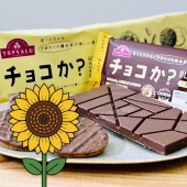 Chocolate không ca cao - lựa chọn thay thế thời "bão giá"