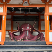 Khám phá ngôi đền bạch tuộc ở thành phố Oita