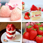 Dâu tây Nhật Bản - Hương vị mùa xuân ngọt ngào đầy mê hoặc