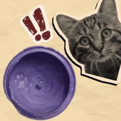 Cổ vật cho thấy người Nhật đã nuôi mèo từ 1.400 năm trước