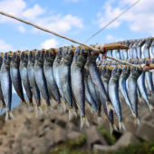 Cá khô Himono – góc nhìn mới về ẩm thực Nhật Bản