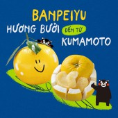 Banpeiyu: Hương bưởi đến từ Kumamoto