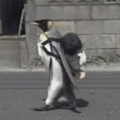 Câu chuyện đáng yêu về Lala – chú chim cánh cụt thích dạo phố