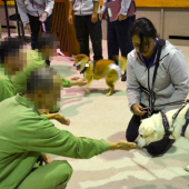 Những chú chó bị bỏ rơi giúp “cải hóa” phạm nhân tại Nhật Bản