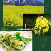 Hoa cải dầu nanohana: rực rỡ sắc vàng, đong đầy hương vị thiên nhiên