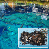 Di sản thiên nhiên ở Nhật Bản kêu cứu vì bị “ngập” tiền xu