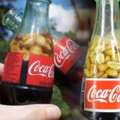 Cho đậu phộng vào Coca-Cola – “trend” mới tại Nhật mà bạn sẽ muốn thử