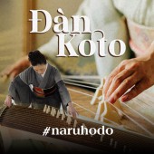 Đàn Koto: Từ âm thanh của cung đình đến các tác phẩm đương đại