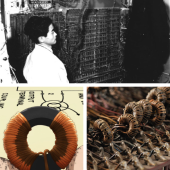 Goto Eiichi - “cha đẻ Parametron” đặt nền móng cho ngành khoa học máy tính Nhật Bản