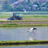 Hồi sinh Satoyama - những sáng kiến tái sinh thiên nhiên và cộng đồng ở Nhật Bản