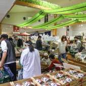 Ngôi làng nhỏ thu hút khách du lịch nhờ matcha