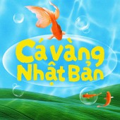 Cá vàng Nhật Bản: Biểu tượng mùa hè mang nét mỹ cảm của xứ Phù Tang